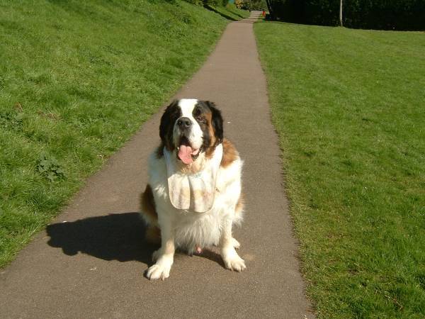Oska During a Break in Filming