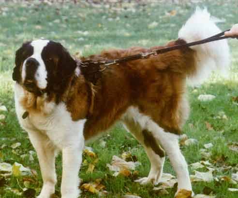 Oska's Promotional Shoot