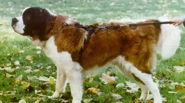 Oska's Promotional Photos